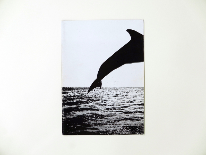 Dégradés 30 pages 20 x 27,5 cm b/w & color photo