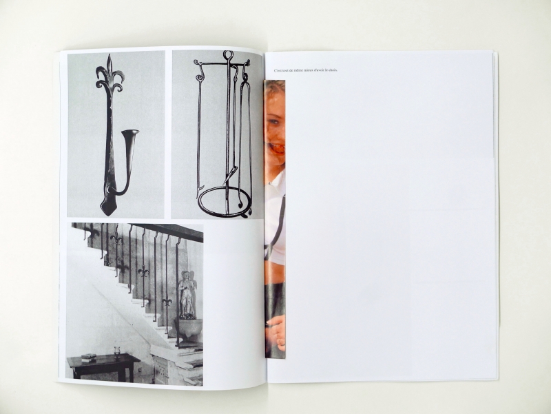 Phénomènes de Multiplication 38 pages 20 x 29 cm