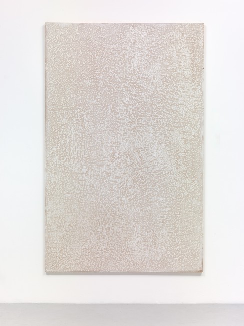Untitled, 2013 perforated wood, plaster 207 x 132 