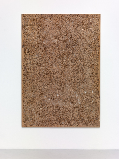 Untitled, 2013 perforated wood 180 x 125 cm 